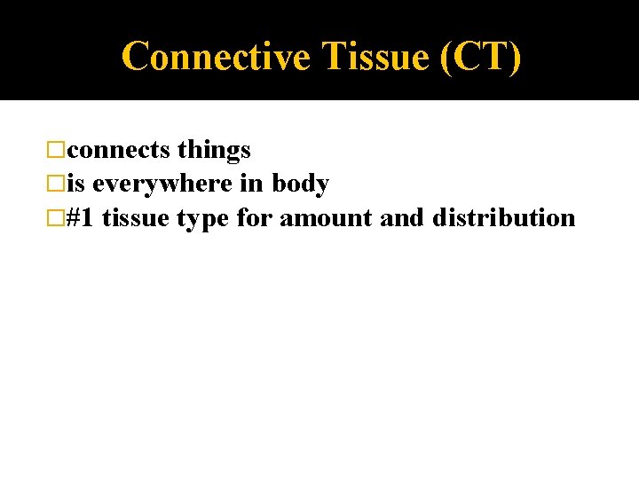 Connective Tissue (CT) �connects things �is everywhere in body �#1 tissue type for amount