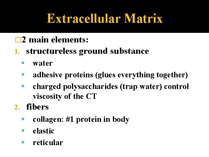 Extracellular Matrix � 2 main elements: 1. structureless ground substance water adhesive proteins (glues