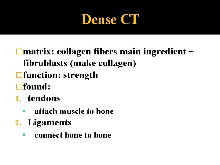 Dense CT �matrix: collagen fibers main ingredient + fibroblasts (make collagen) �function: strength �found: