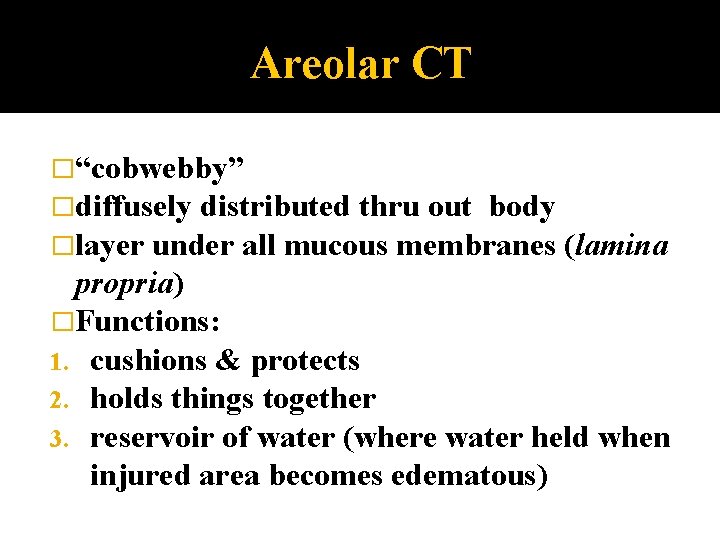 Areolar CT �“cobwebby” �diffusely distributed thru out body �layer under all mucous membranes (lamina