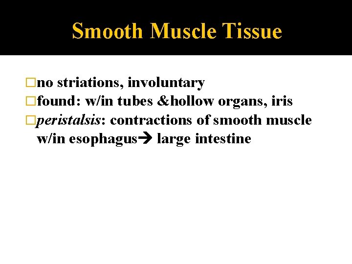 Smooth Muscle Tissue �no striations, involuntary �found: w/in tubes &hollow organs, iris �peristalsis: contractions