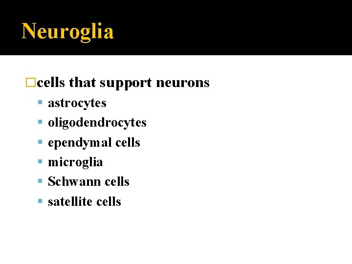 Neuroglia �cells that support neurons astrocytes oligodendrocytes ependymal cells microglia Schwann cells satellite cells