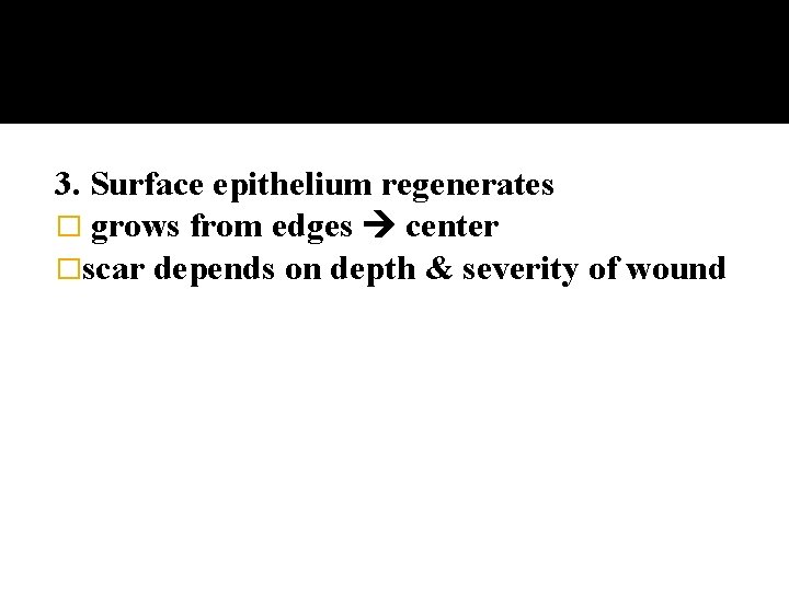 3. Surface epithelium regenerates � grows from edges center �scar depends on depth &