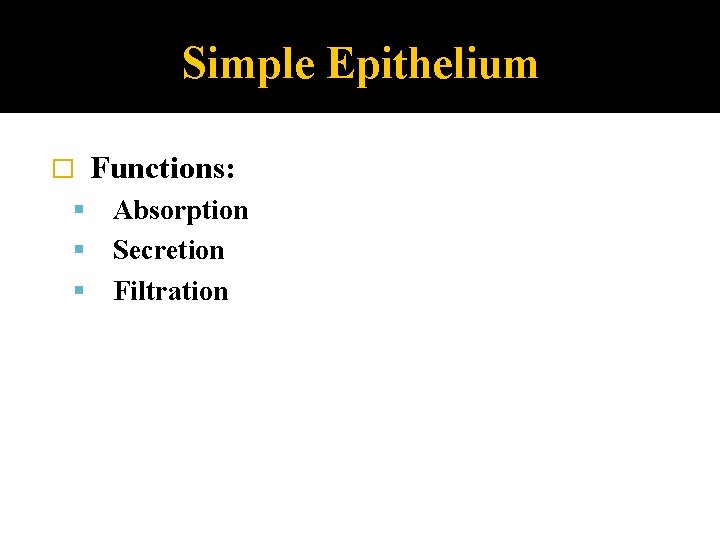 Simple Epithelium � Functions: Absorption Secretion Filtration 