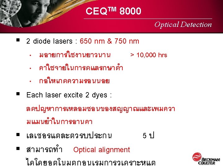 Introduction Capillary Gel Electrophoresis CGE Replaceable Gel DNA