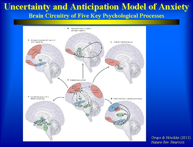 Uncertainty and Anticipation Model of Anxiety Brain Circuitry of Five Key Psychological Processes Grupe