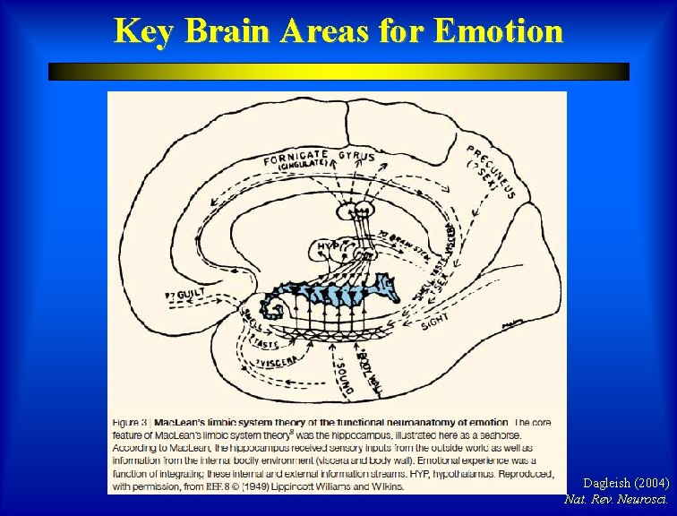 Key Brain Areas for Emotion Dagleish (2004) Nat. Rev. Neurosci. 