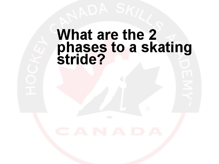 What are the 2 phases to a skating stride? 12/30/2021 14 