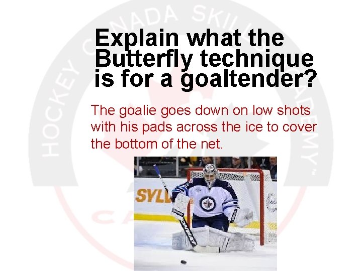 Explain what the Butterfly technique is for a goaltender? The goalie goes down on