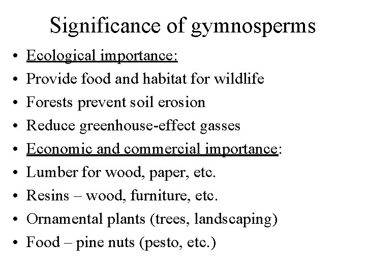 Significance of gymnosperms • • • Ecological importance: Provide food and habitat for wildlife