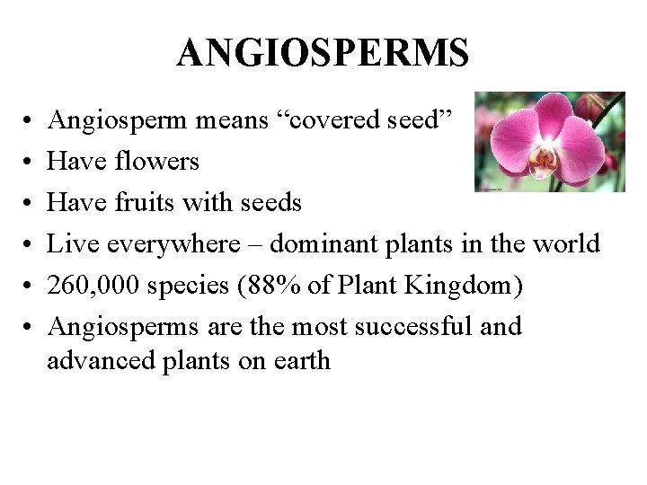 ANGIOSPERMS • • • Angiosperm means “covered seed” Have flowers Have fruits with seeds