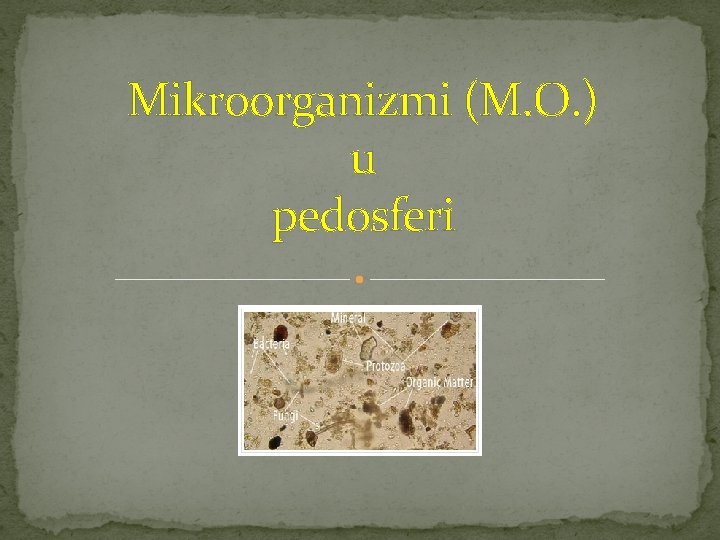 Mikroorganizmi (M. O. ) u pedosferi 