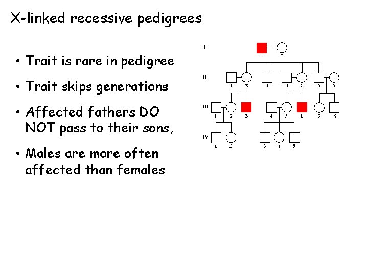 X-linked recessive pedigrees • Trait is rare in pedigree • Trait skips generations •