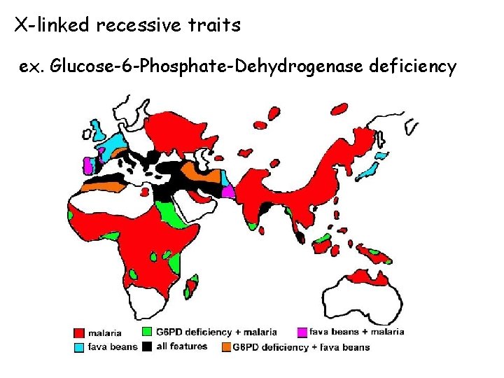 X-linked recessive traits ex. Glucose-6 -Phosphate-Dehydrogenase deficiency 