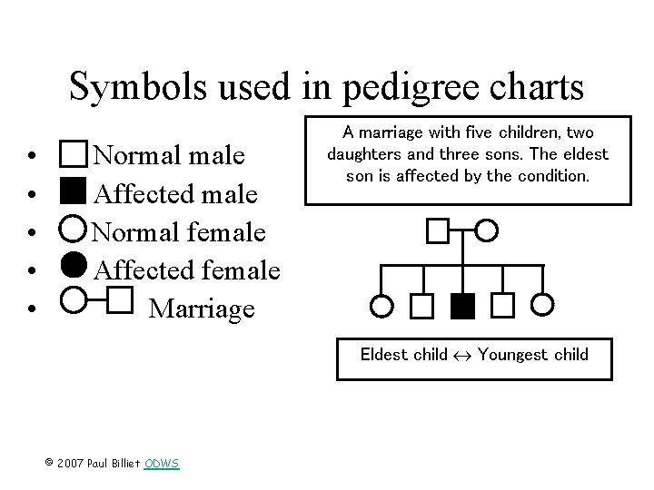 Symbols used in pedigree charts • • • Normal male Affected male Normal female