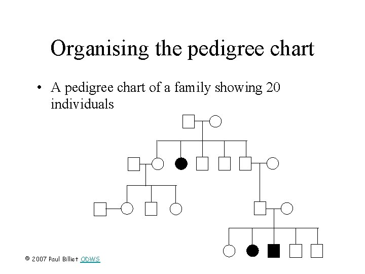 Organising the pedigree chart • A pedigree chart of a family showing 20 individuals