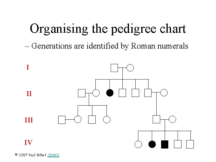 Organising the pedigree chart – Generations are identified by Roman numerals I II IV