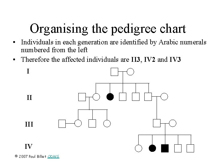 Organising the pedigree chart • Individuals in each generation are identified by Arabic numerals