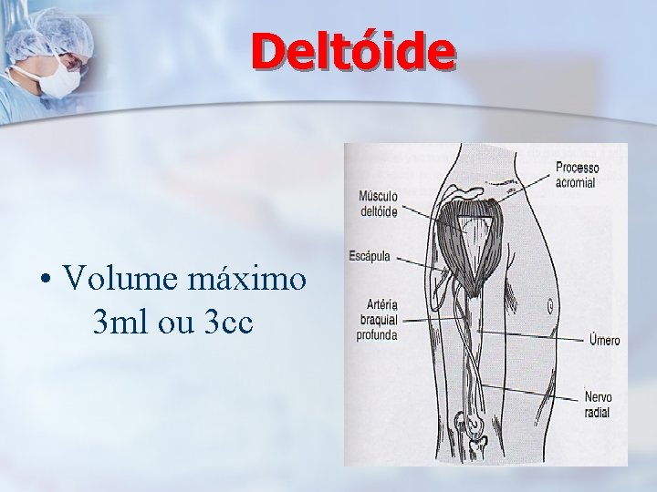 Deltóide • Volume máximo 3 ml ou 3 cc 
