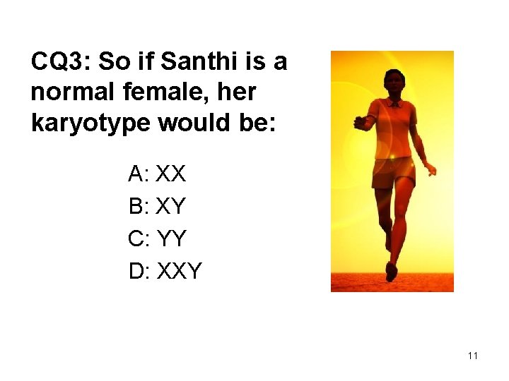 CQ 3: So if Santhi is a normal female, her karyotype would be: A: