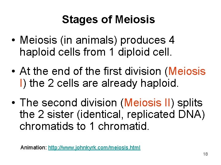 Stages of Meiosis • Meiosis (in animals) produces 4 haploid cells from 1 diploid