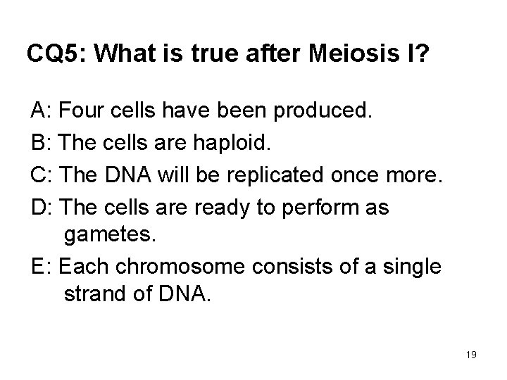 CQ 5: What is true after Meiosis I? A: Four cells have been produced.