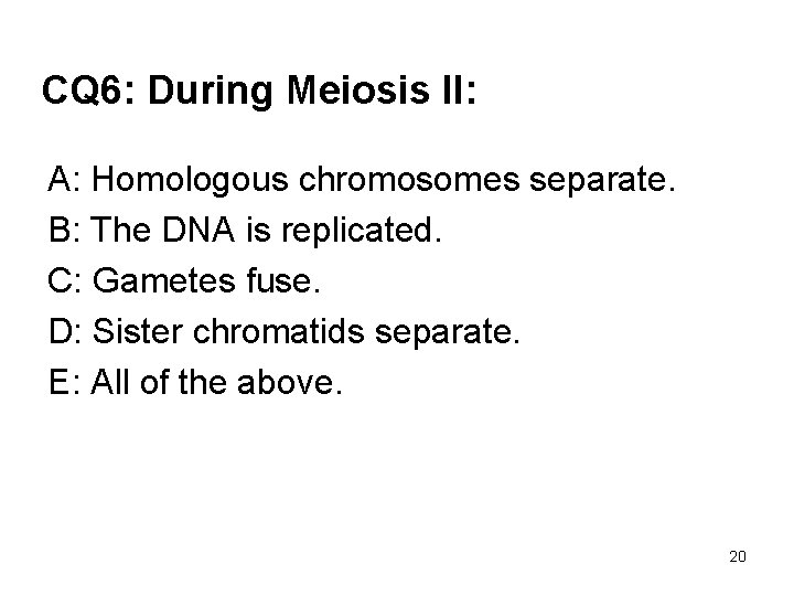 CQ 6: During Meiosis II: A: Homologous chromosomes separate. B: The DNA is replicated.
