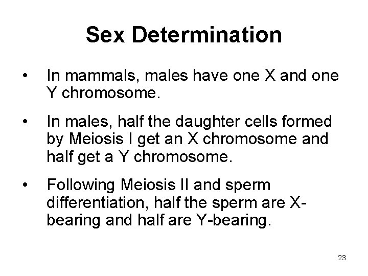 Sex Determination • In mammals, males have one X and one Y chromosome. •