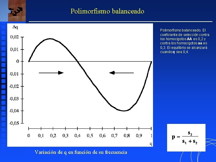 Polimorfismo balanceado. El coeficiente de selección contra los homocigotos AA es 0, 2 y Polimorfismo balanceado. El coeficiente de selección contra los homocigotos AA es 0, 2 y