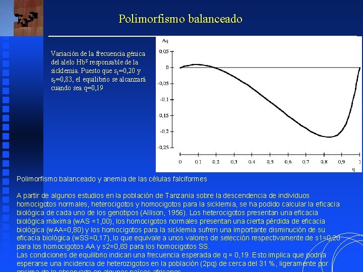 Polimorfismo balanceado Variación de la frecuencia génica del alelo Hb. S responsable de la Polimorfismo balanceado Variación de la frecuencia génica del alelo Hb. S responsable de la