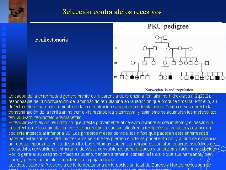 Selección contra alelos recesivos Fenilcetonuria La causa de la enfermedad generalmente es la carencia Selección contra alelos recesivos Fenilcetonuria La causa de la enfermedad generalmente es la carencia
