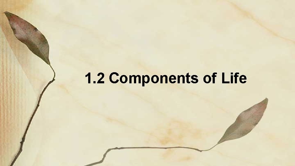 1. 2 Components of Life 1. 2 Components of Life