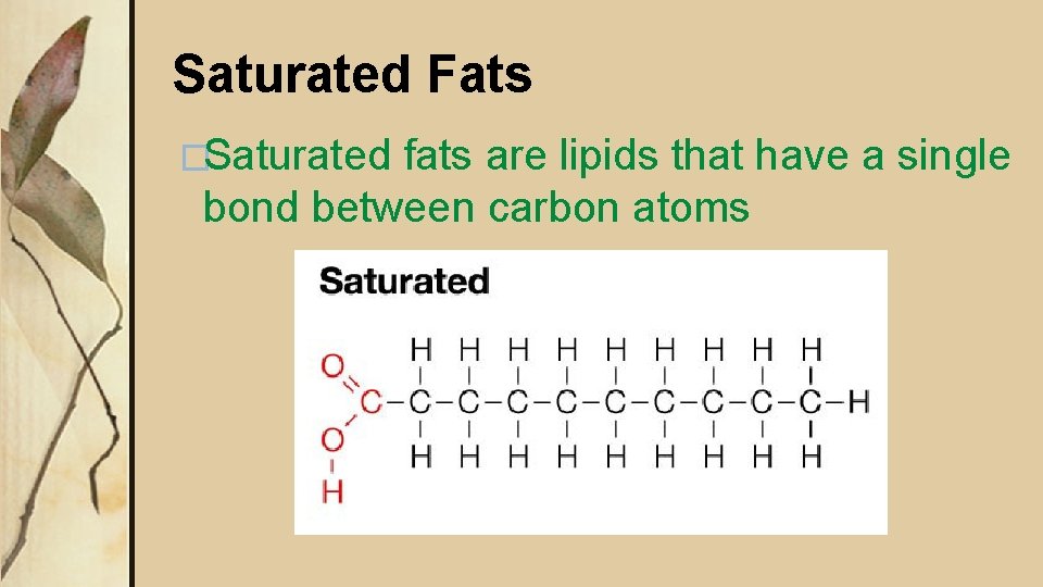 Saturated Fats �Saturated fats are lipids that have a single bond between carbon atoms Saturated Fats �Saturated fats are lipids that have a single bond between carbon atoms