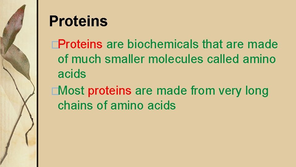 Proteins �Proteins are biochemicals that are made of much smaller molecules called amino acids Proteins �Proteins are biochemicals that are made of much smaller molecules called amino acids