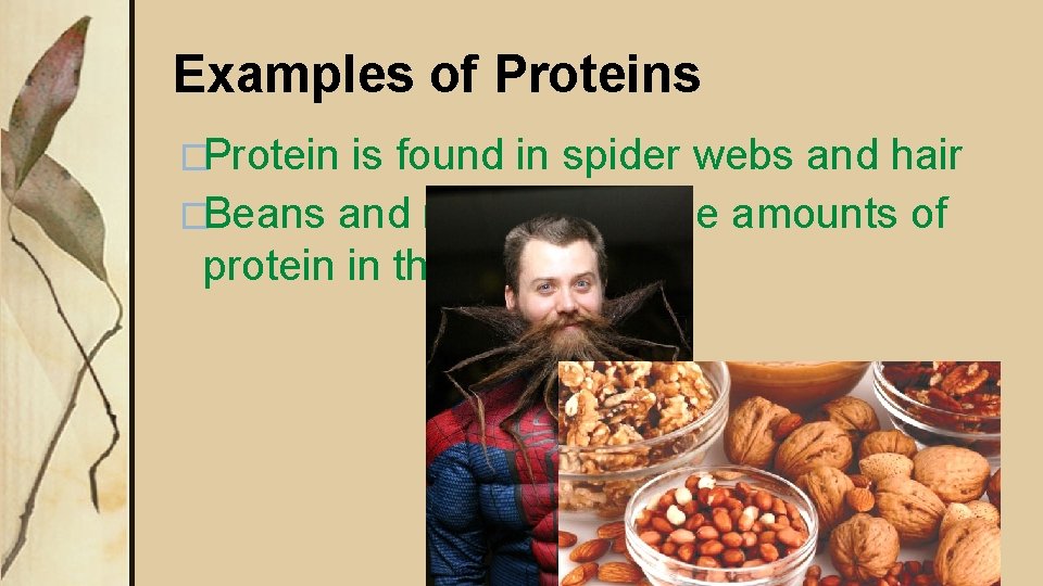 Examples of Proteins �Protein is found in spider webs and hair �Beans and nuts Examples of Proteins �Protein is found in spider webs and hair �Beans and nuts
