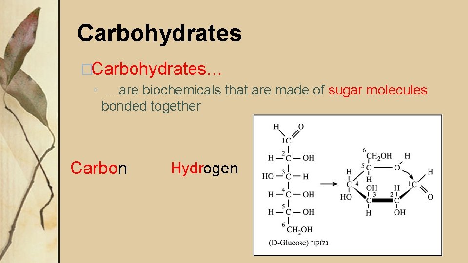 Carbohydrates �Carbohydrates… ◦ …are biochemicals that are made of sugar molecules bonded together Carbon Carbohydrates �Carbohydrates… ◦ …are biochemicals that are made of sugar molecules bonded together Carbon
