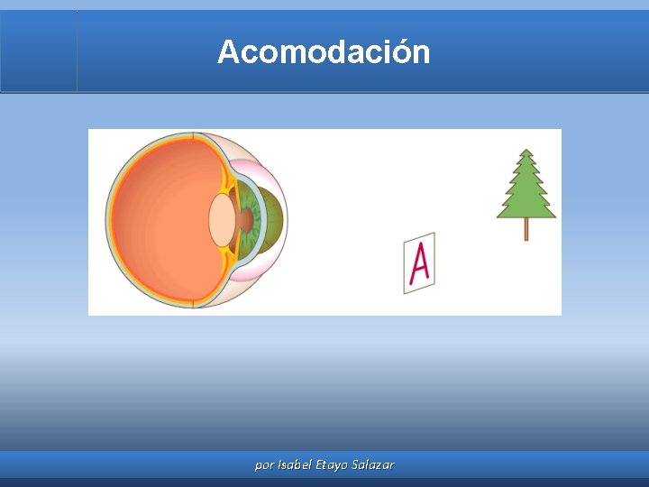 Acomodación por Isabel Etayo Salazar 