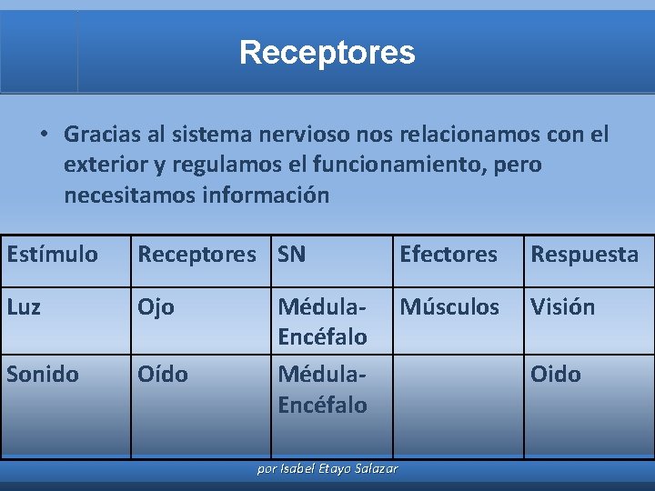 Receptores • Gracias al sistema nervioso nos relacionamos con el exterior y regulamos el