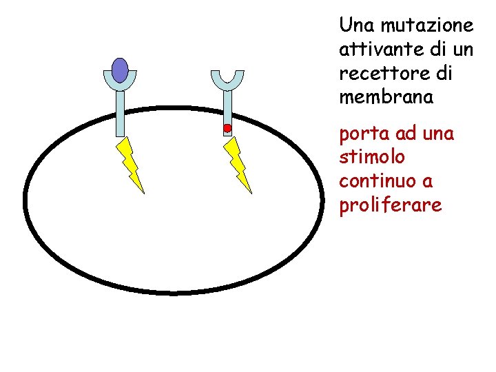 Una mutazione attivante di un recettore di membrana porta ad una stimolo continuo a