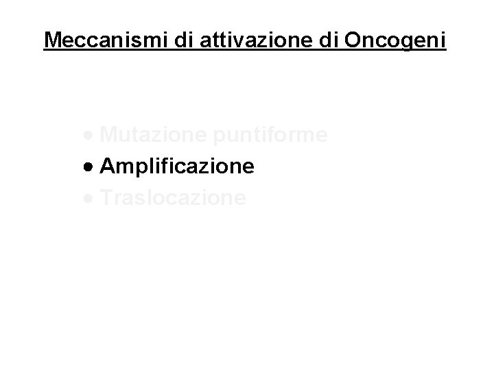 Meccanismi di attivazione di Oncogeni Mutazione puntiforme Amplificazione Traslocazione 