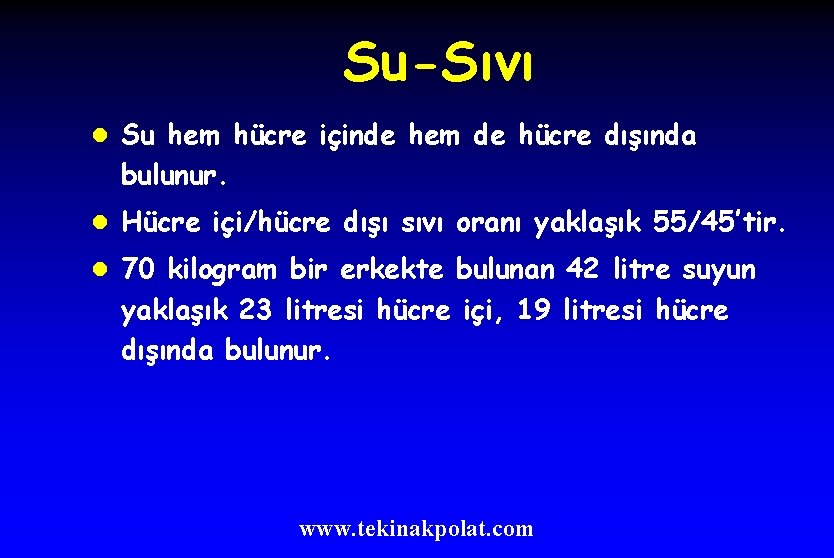 Su-Sıvı l Su hem hücre içinde hem de hücre dışında bulunur. l Hücre içi/hücre