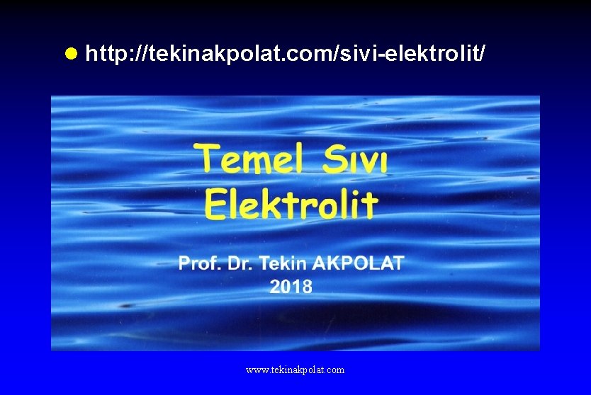 l http: //tekinakpolat. com/sivi-elektrolit/ www. tekinakpolat. com 