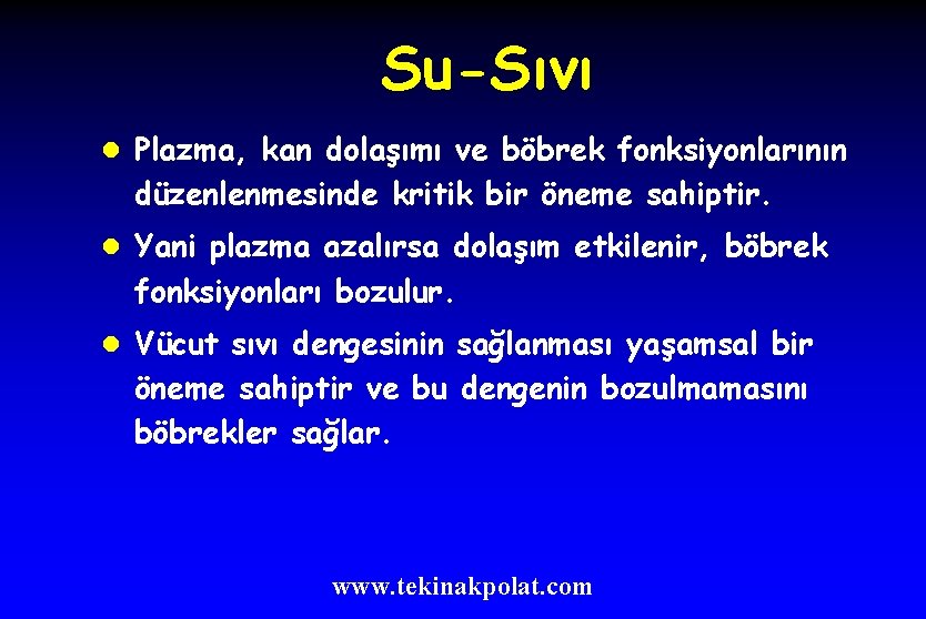 Su-Sıvı l Plazma, kan dolaşımı ve böbrek fonksiyonlarının düzenlenmesinde kritik bir öneme sahiptir. l