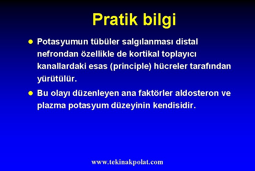 Pratik bilgi l Potasyumun tübüler salgılanması distal nefrondan özellikle de kortikal toplayıcı kanallardaki esas