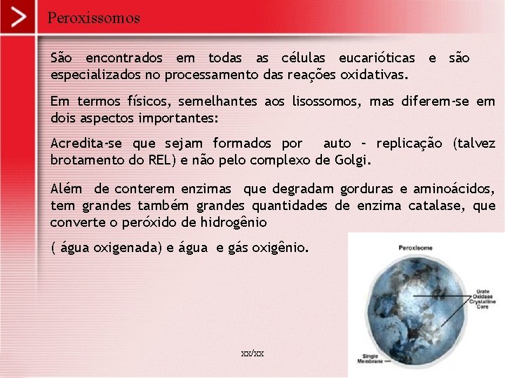 Peroxissomos São encontrados em todas as células eucarióticas e são especializados no processamento das