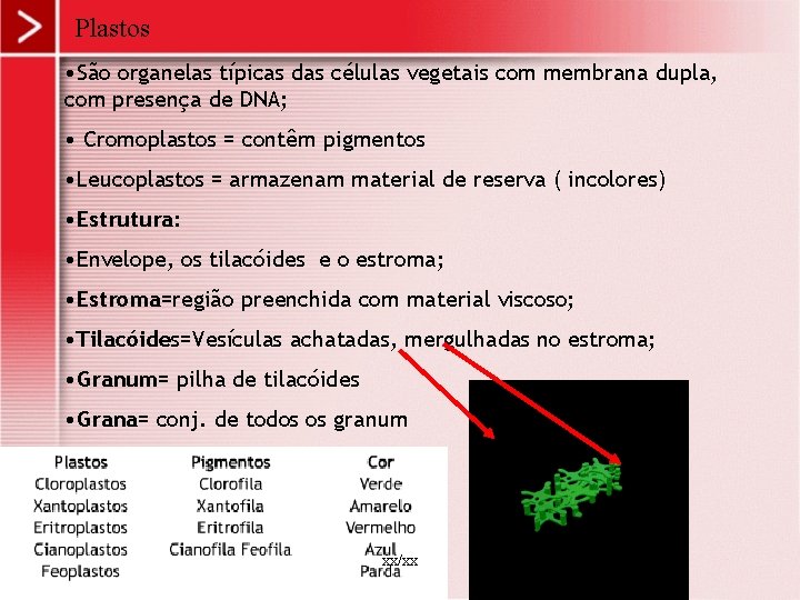 Plastos • São organelas típicas das células vegetais com membrana dupla, com presença de