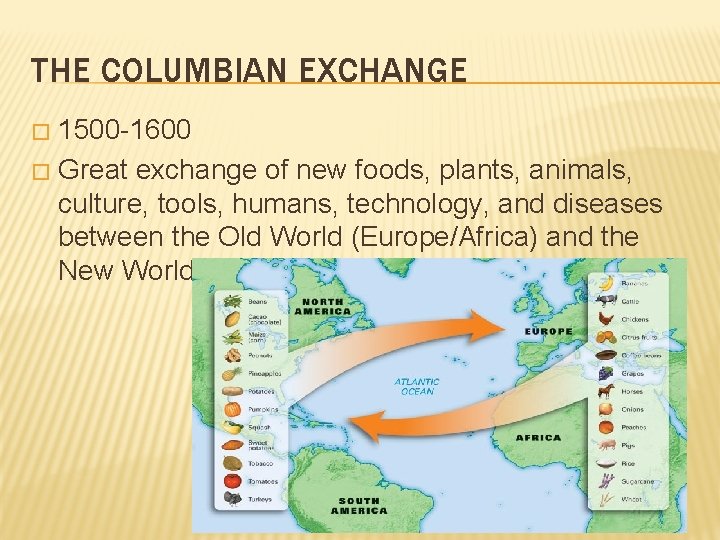 THE COLUMBIAN EXCHANGE 1500 -1600 � Great exchange of new foods, plants, animals, culture,