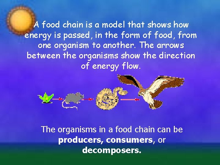 A food chain is a model that shows how energy is passed, in the