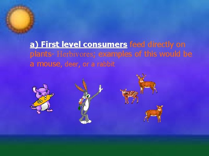 a) First level consumers feed directly on plants- Herbivores; examples of this would be