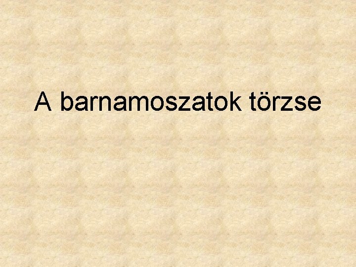 A barnamoszatok törzse 